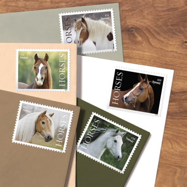 2024 Horses Forever First Class Postage Stamps